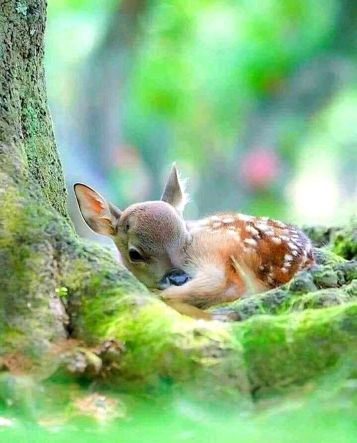 #Nature's Beauty