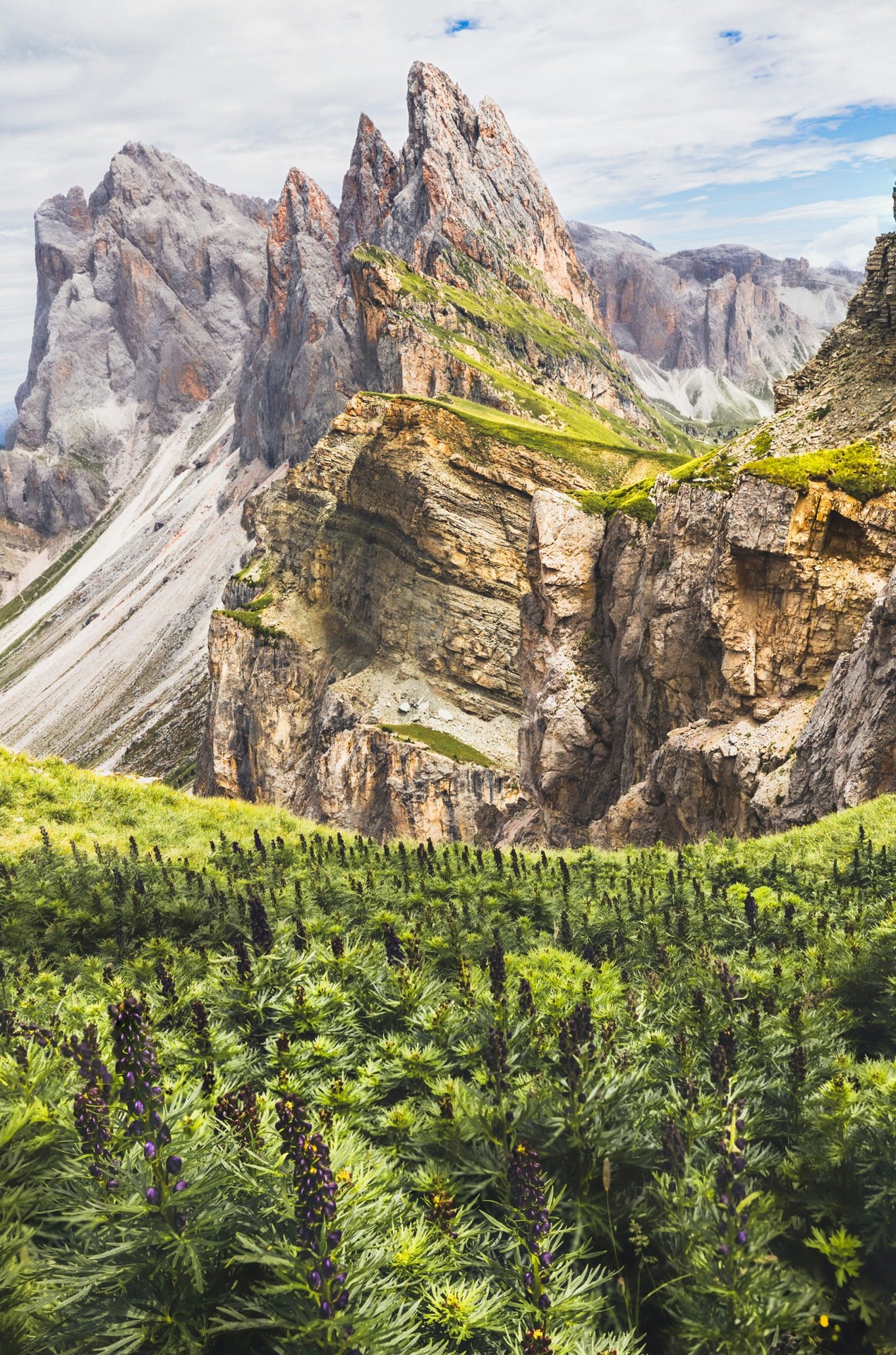 тапети mountain, Wilderness