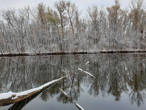 winter