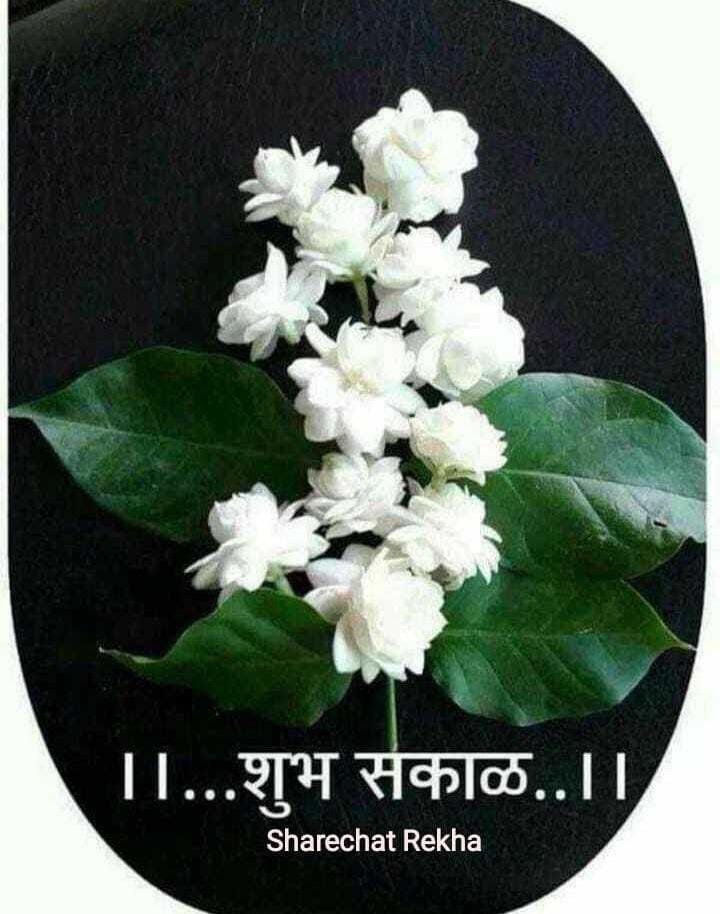 good morning