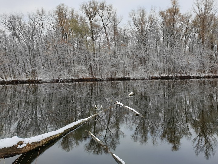 winter