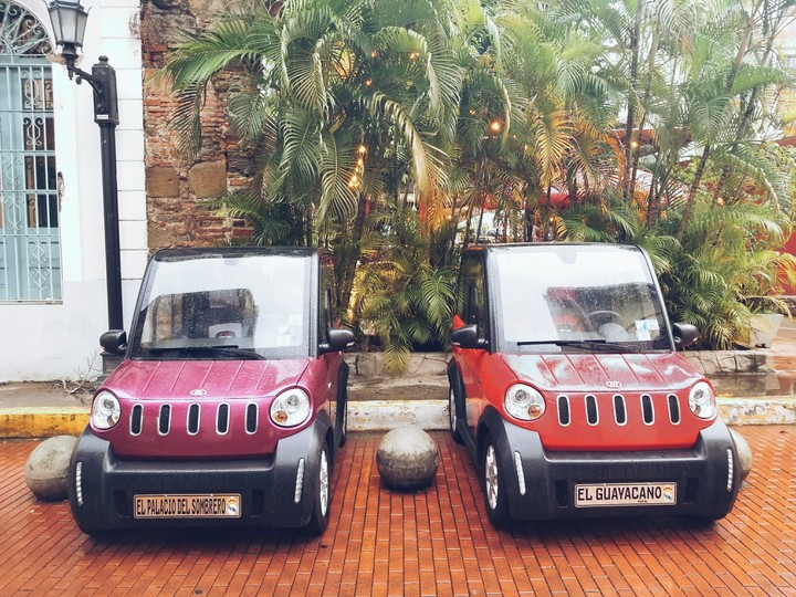 Cars in their Natural Habitat