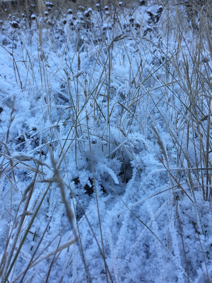 winter