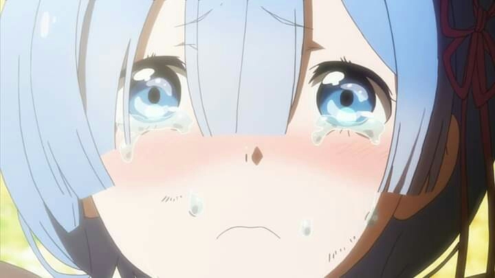 렘❥