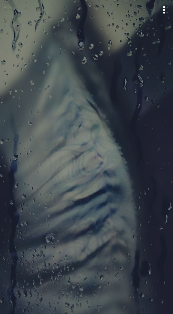 rain rain go away