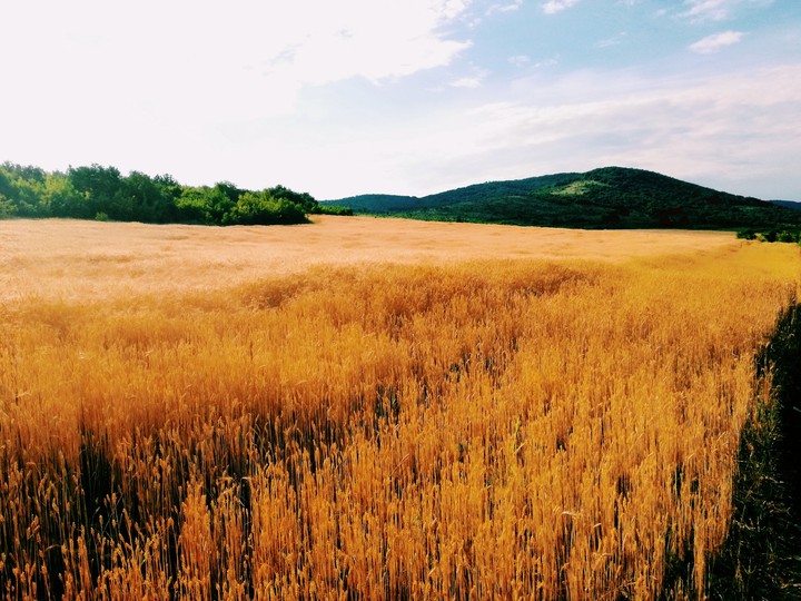 Bulgarian countryside