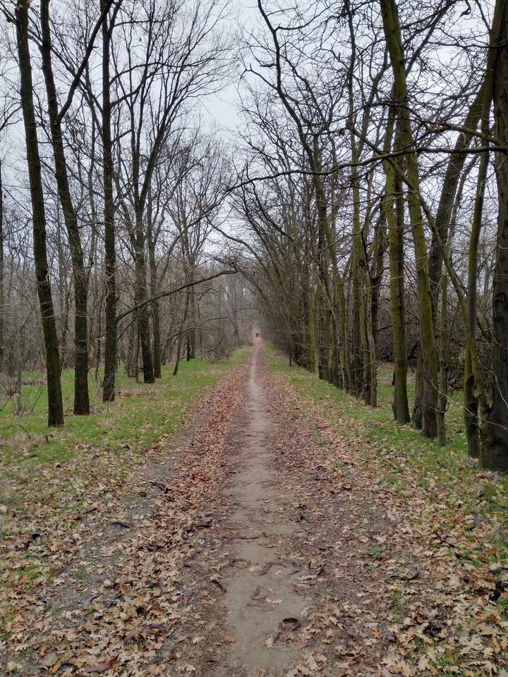 autumn running road