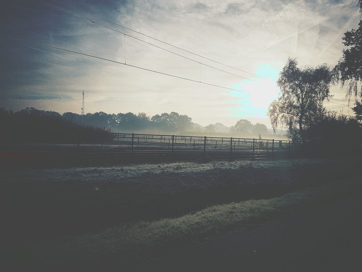 Frosty Lowlands