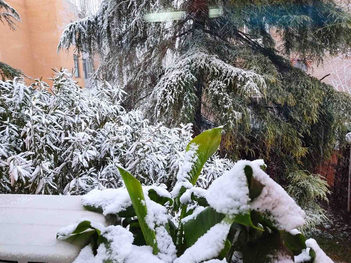 Nieve - Madrid