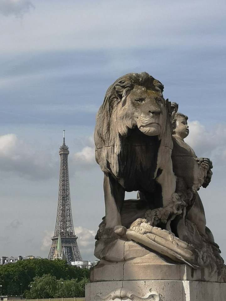 Lion king
