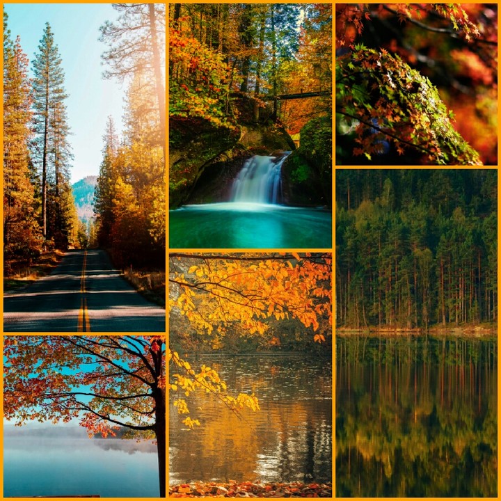 Autumn