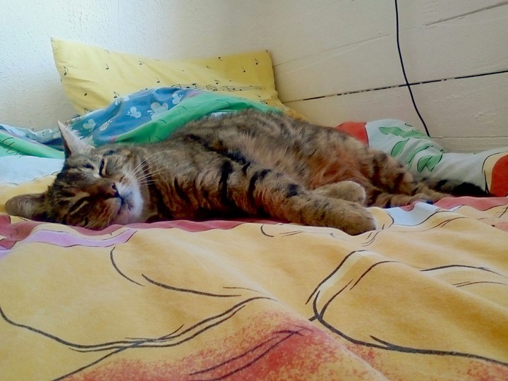 sleep