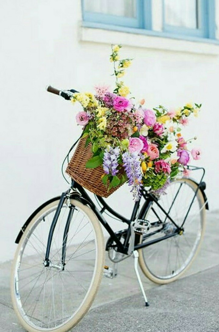 bike & flowers