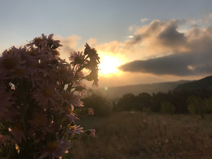 sunshine
