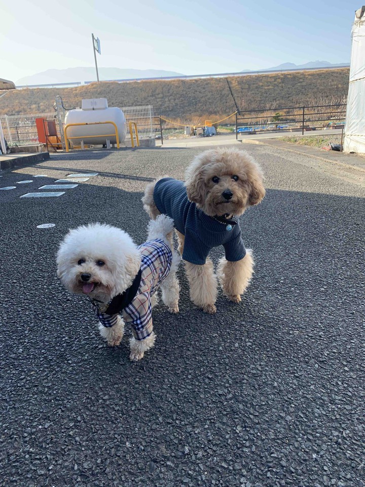 Lucky & Money