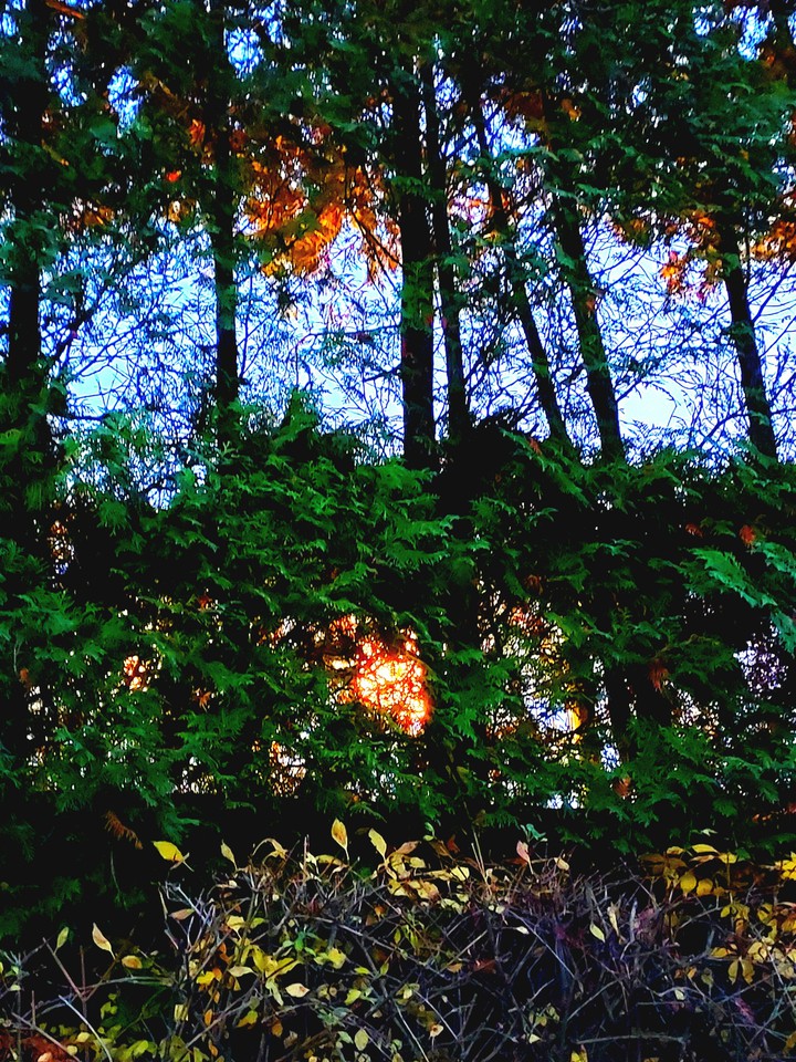산책길에서