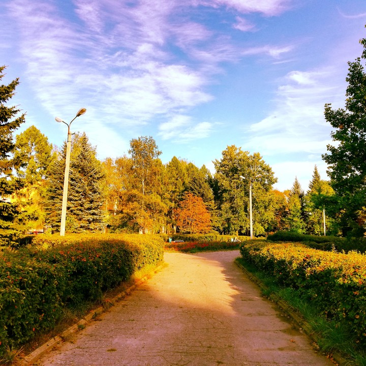 Парк