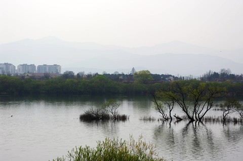 Scenics