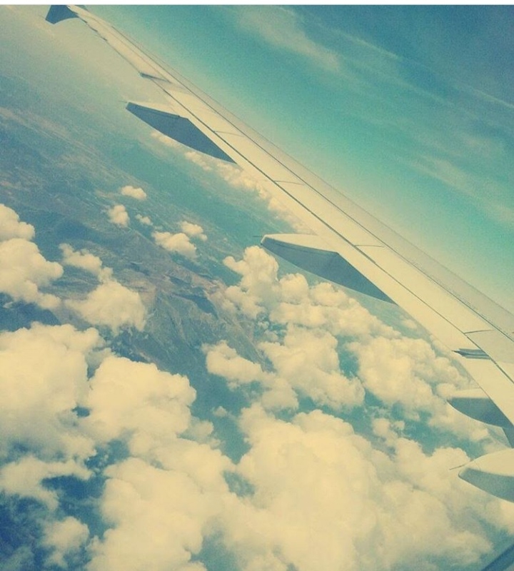 Trip!