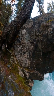dreı