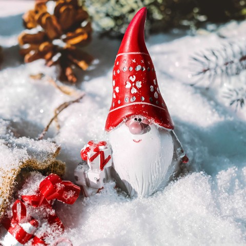 GNOME IN THE SNOW