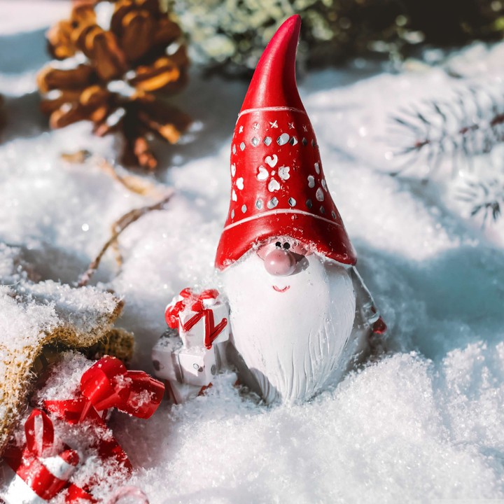 GNOME IN THE SNOW