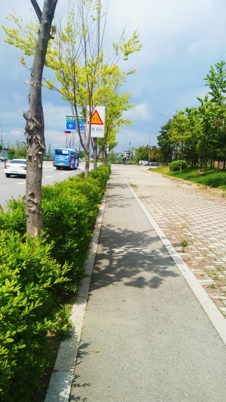 daily, road, free