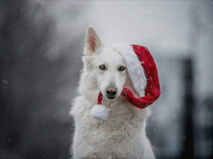 красавчик♡¤♡