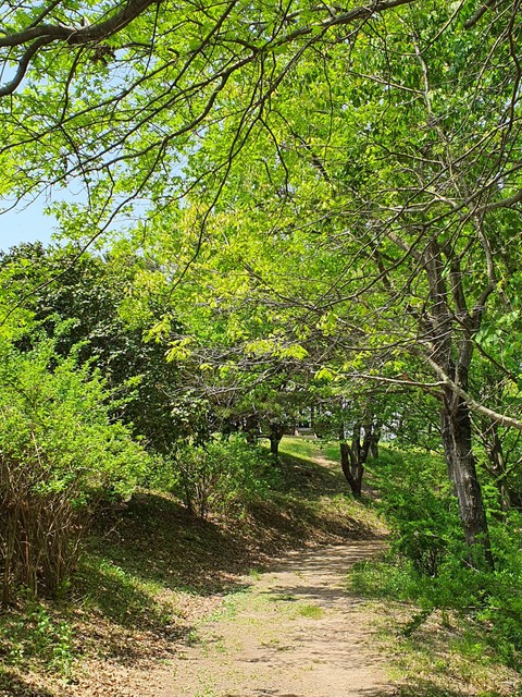 수목원