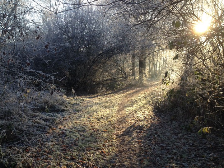 Winterstimmung