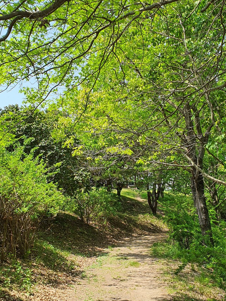 수목원