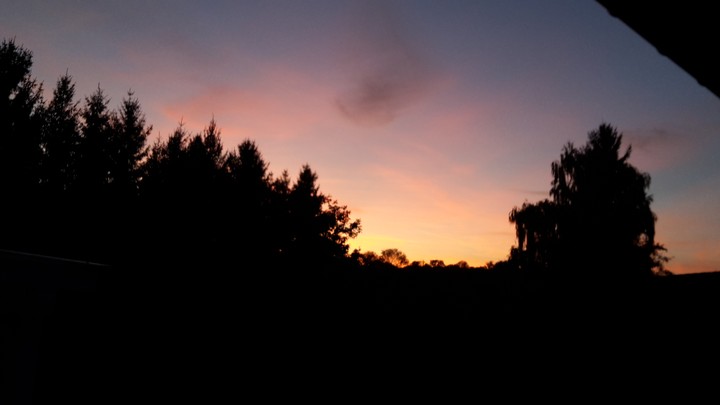 view