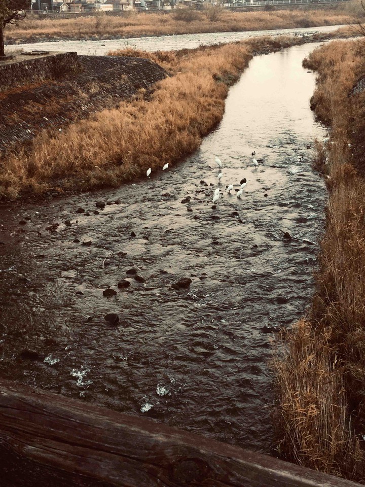 winter river