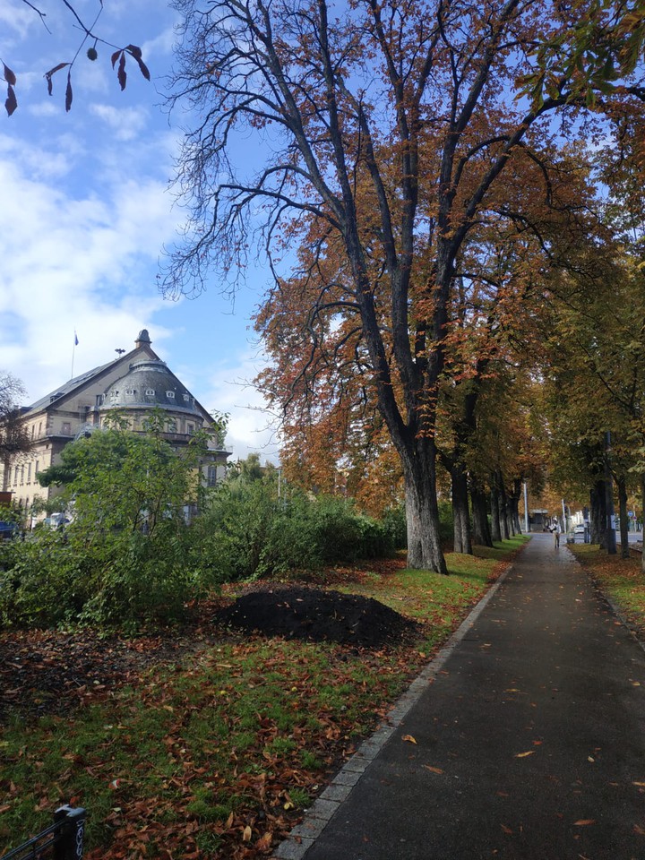 Fall in Strasbourg