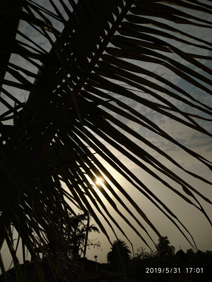 Kiss me, like the rays of sun.