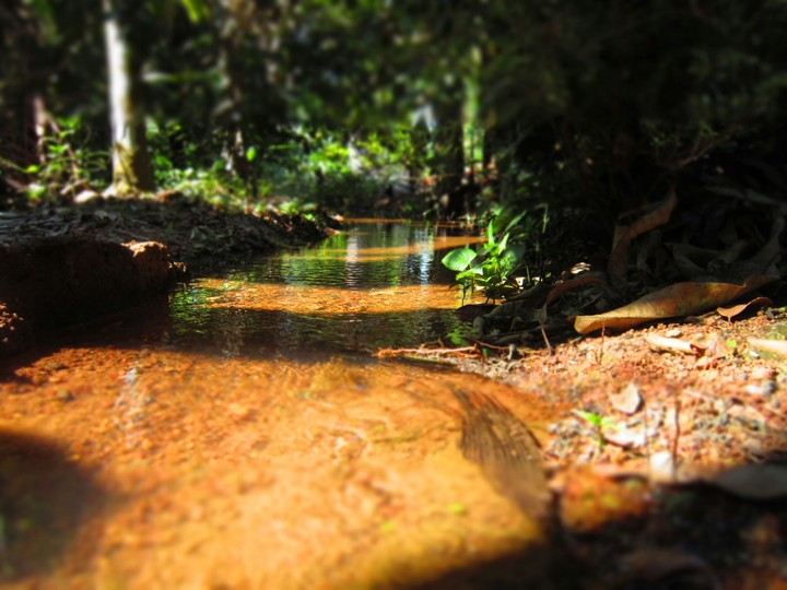 stream