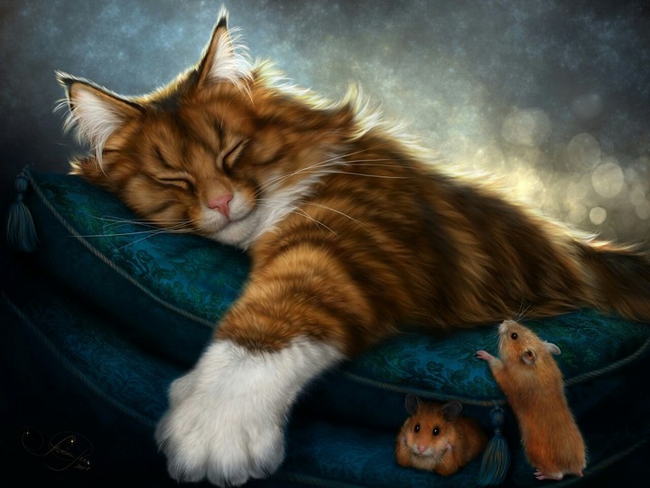 Zzzzzzzzzz