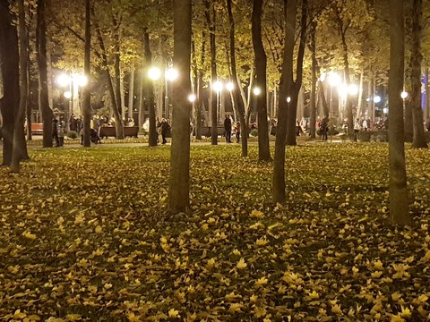gorky park