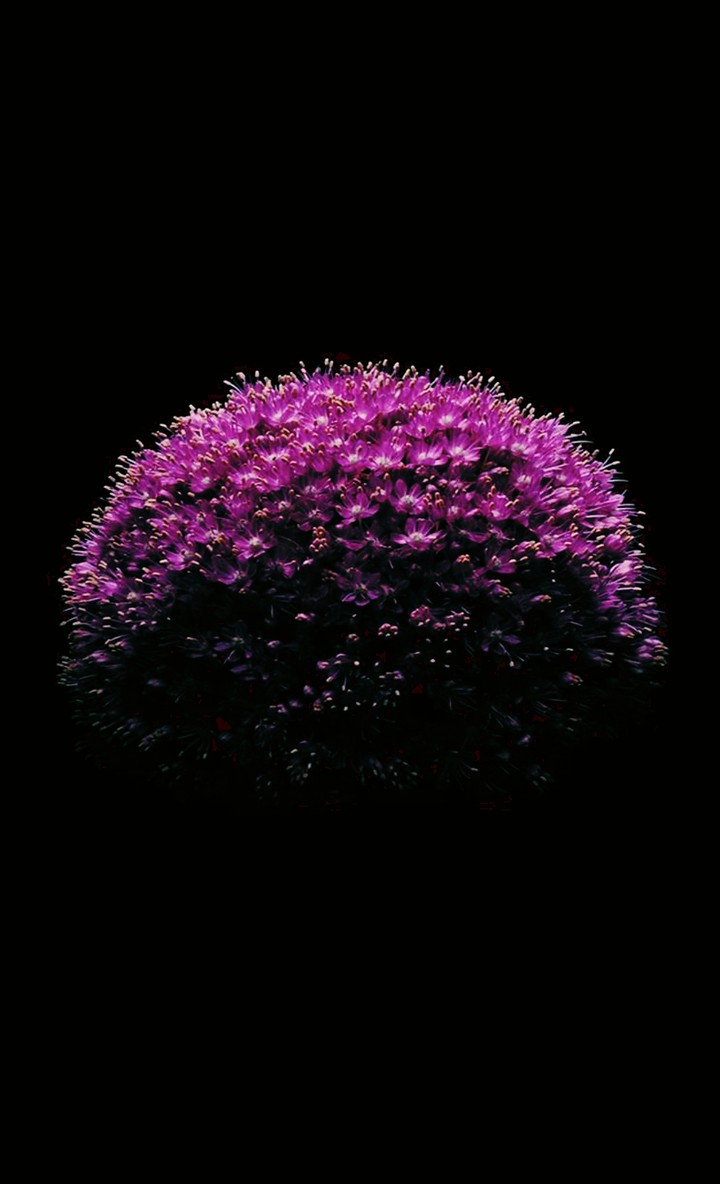 Fleur
