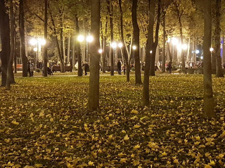 gorky park