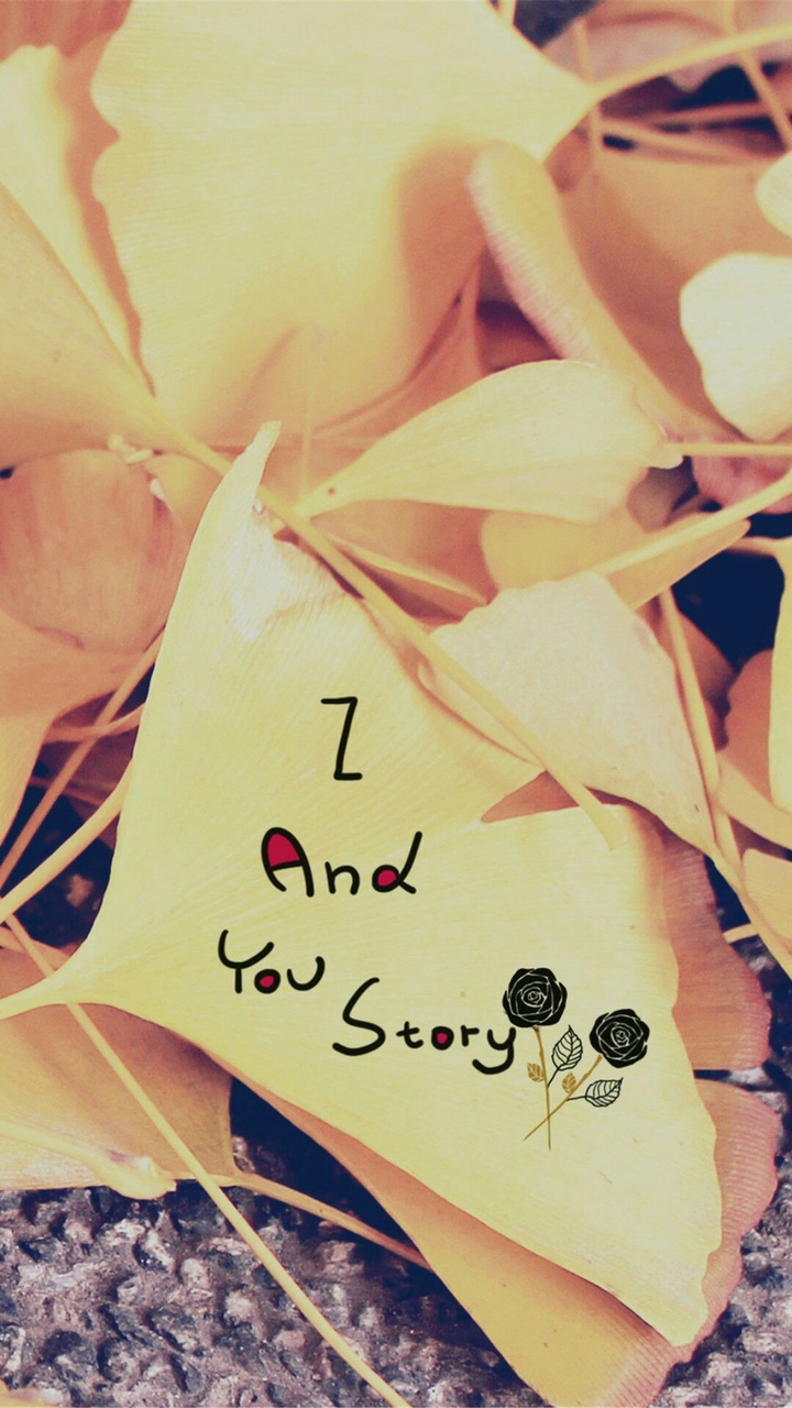 Z and you story
