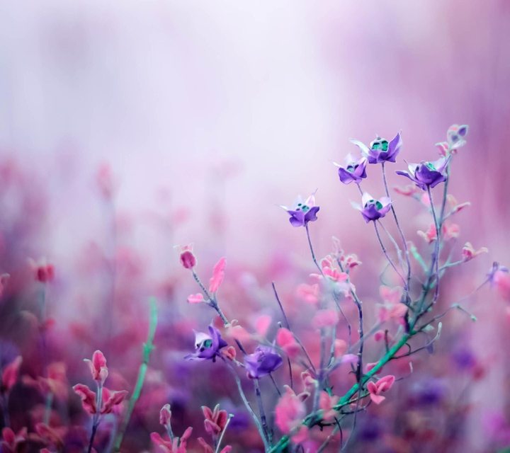 beautifully
