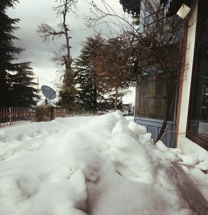 Snow