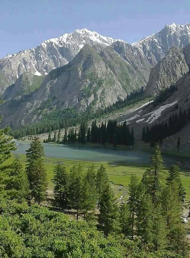 سوات