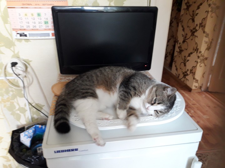 любимое место