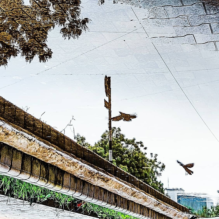The world upside down