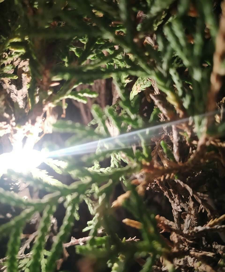 under the grass