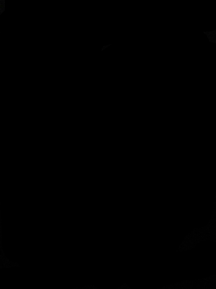 All Black