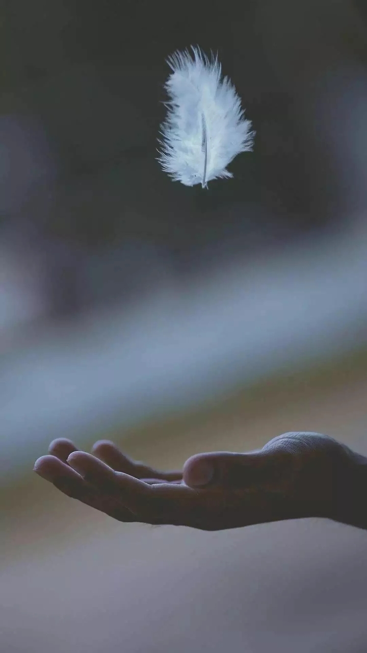 feather