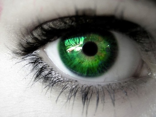 eye